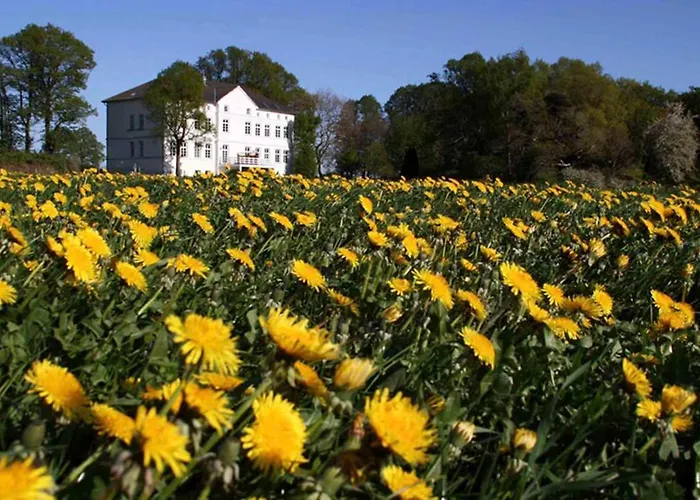 Herrenhaus App.14 Apartamento